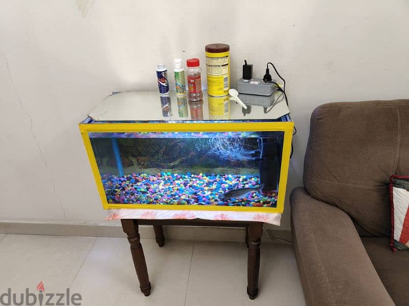 fish tank with one fish with two pumps 1