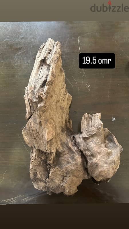 Drift wood for tanks 0