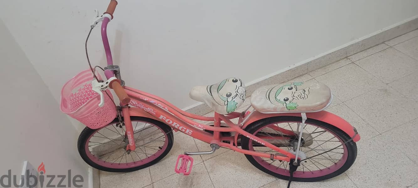 girls bicycle 2