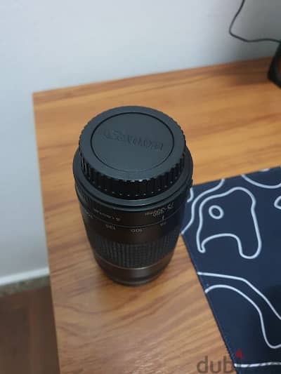 Canon EF 75-300mm F/4.0-5.6 III Lens