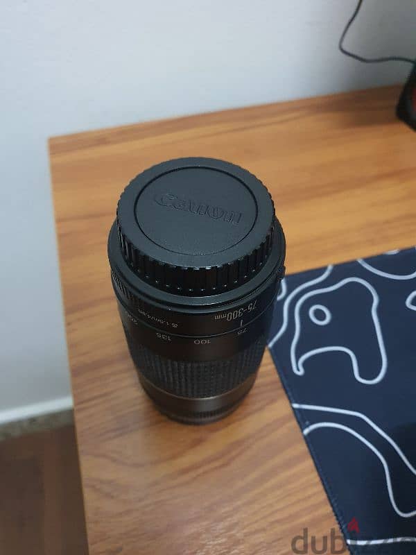 Canon EF 75-300mm F/4.0-5.6 III Lens 0