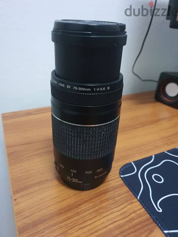 Canon EF 75-300mm F/4.0-5.6 III Lens 3