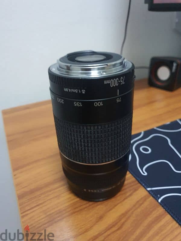 Canon EF 75-300mm F/4.0-5.6 III Lens 4