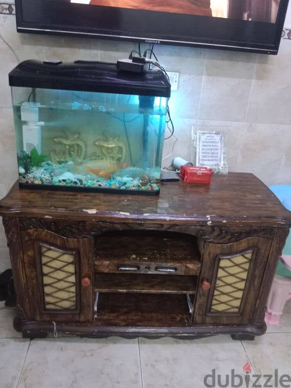 fishtank with fishes, oxygen,filter and other accessories 0