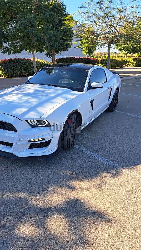 Ford Mustang 2014 Shelby 0