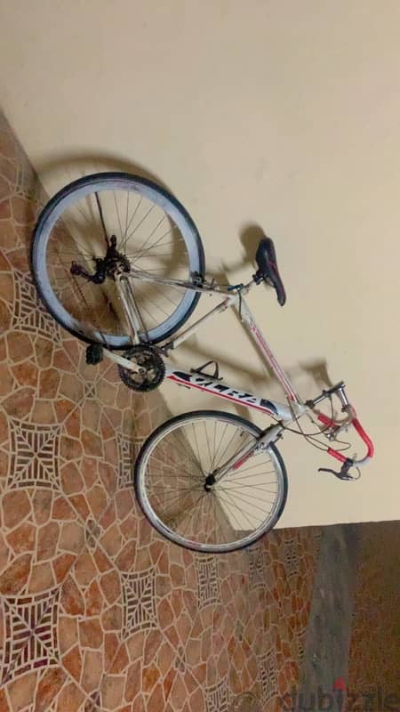 Racing cycle good condition 1