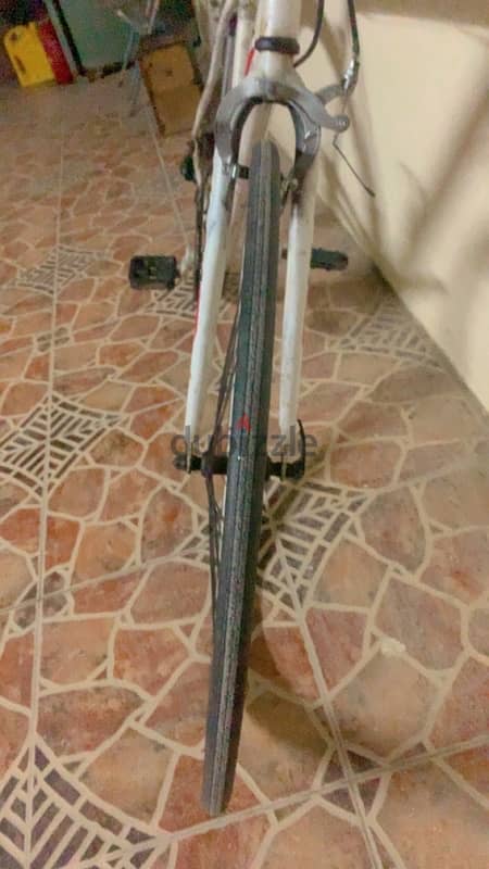 Racing cycle good condition 2