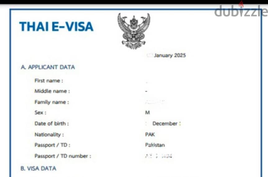 Thai E visa for Pakistan 1