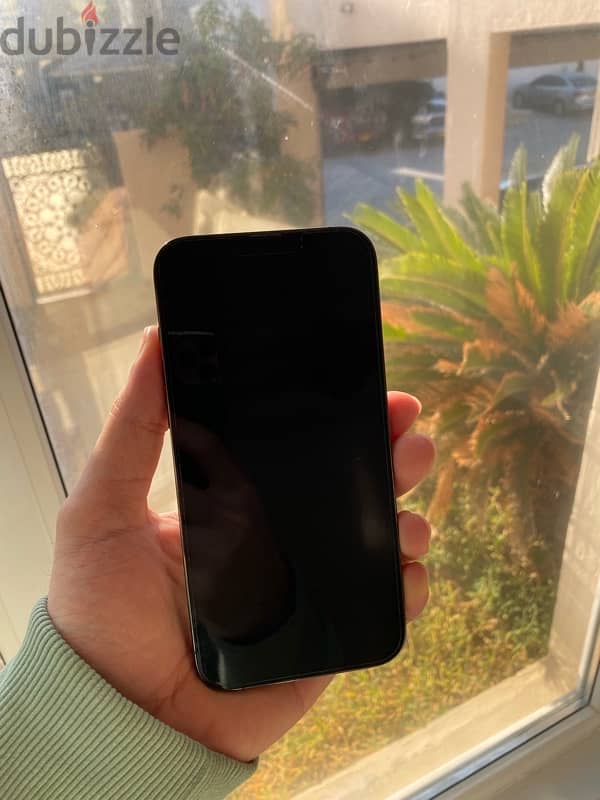 iPhone 13 pro max 256 gb 1