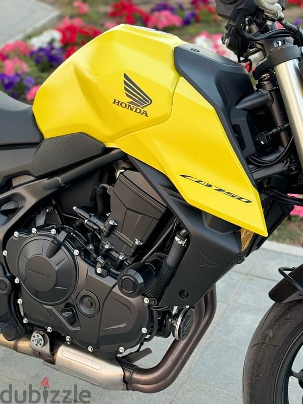 هوندا هورنيت CB750  honda hornet 8