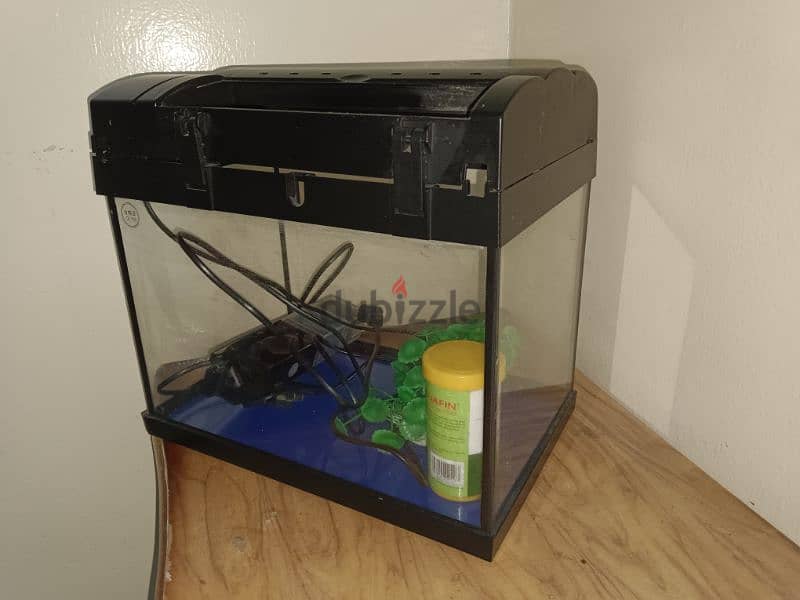 FISH AQUARIUM WITH LIGHT WITH REMOTE AND OXYGEN PUMP حوض السمك 3