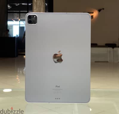 Apple iPad Pro 11-inch, 2nd Gen 1TB, (Wi-Fi +Cellular) Looks New