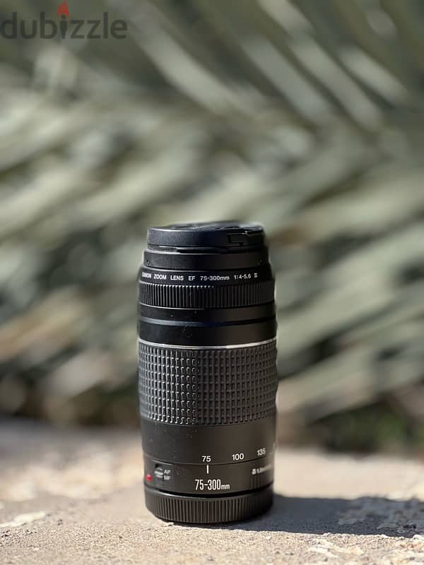 Canon zoom lens EF 75-300mm | عدسة زوم كانون ٧٥-٣٠٠ مم 0