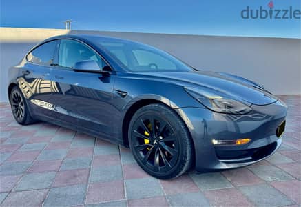 Tesla Model 3 2021 Standart PLUS