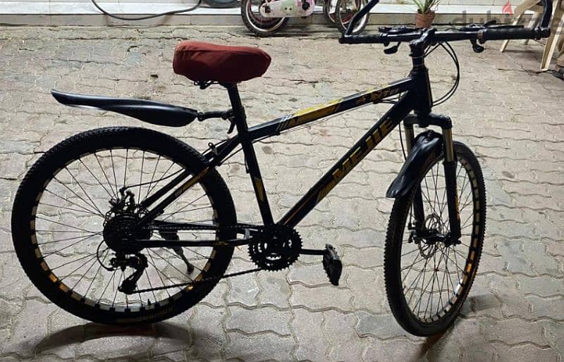 Bicycle 26 inch 1