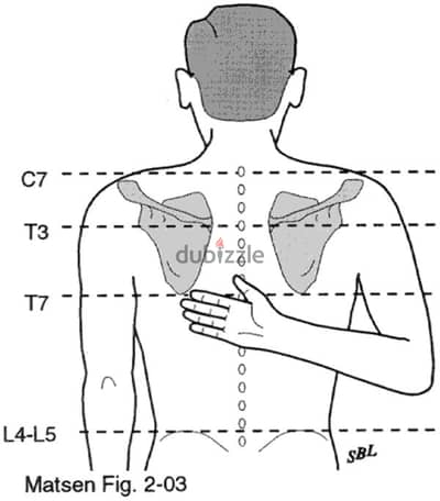 Female Clinical Physiotherapist With MOH License