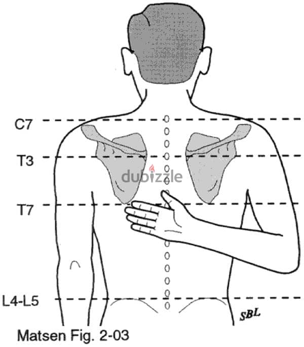 Female Clinical Physiotherapist With MOH License 0