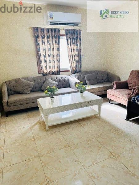 1BHk furnished apartment 3