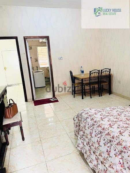 1BHk furnished apartment 7