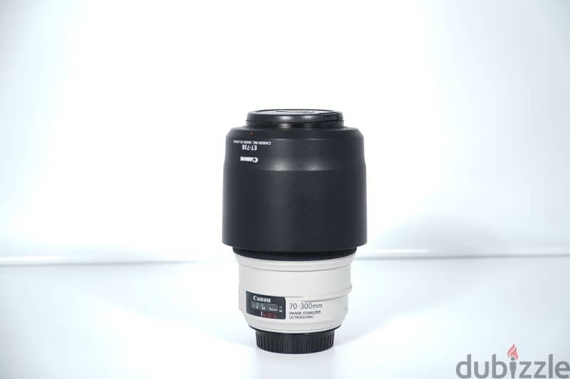 Canon EF 70 300 IS USM L series lense 5