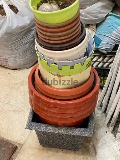 URGENT **15 plus Plants pots , soil , coco peat