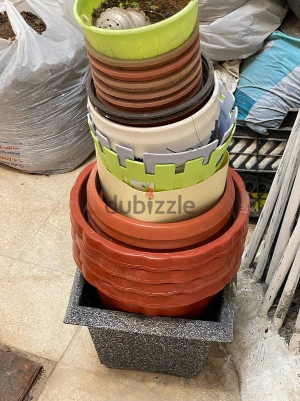 URGENT **15 plus Plants pots , soil , coco peat 0