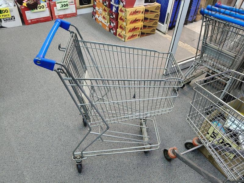 Shopping Trolly 1