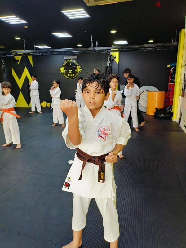 karate coach 14