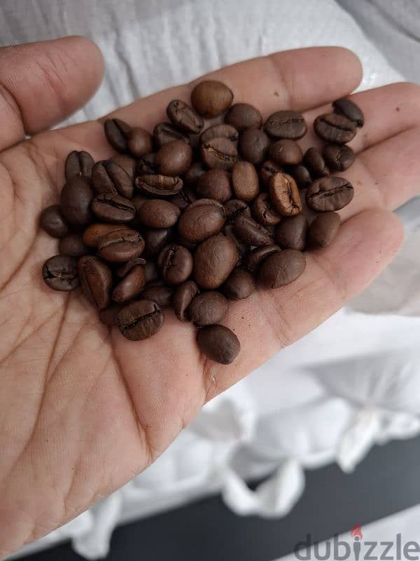 coffee beans 1