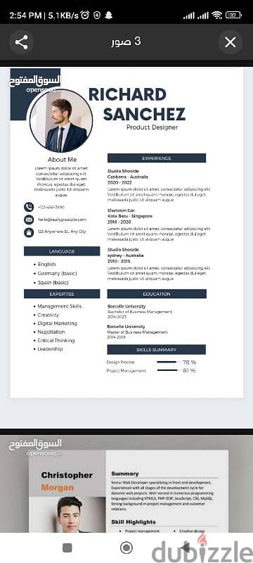 CV In Arabic and English