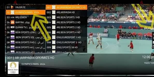 Ip-Tv one year subscription all countries channels working