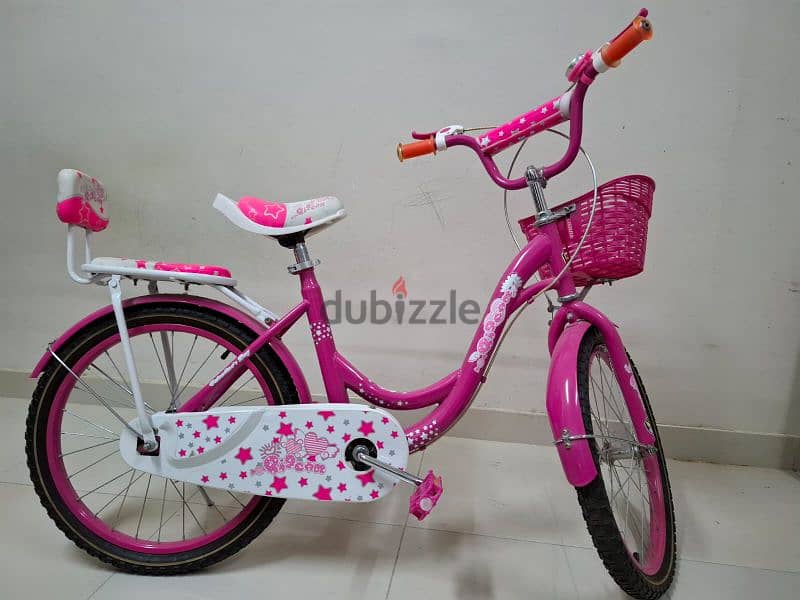 Girls Bicycle 1