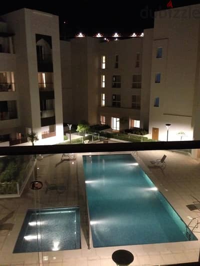 1 BHK Liwan apartment pool view 2 balconies