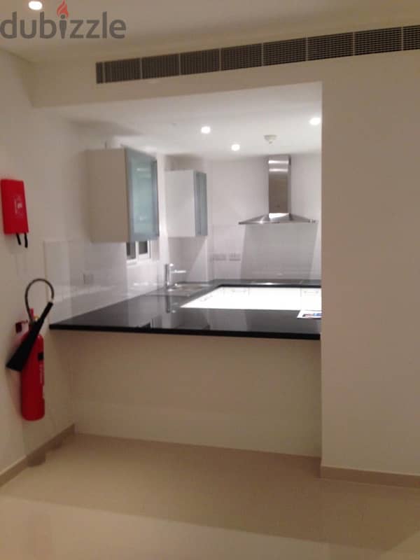 1 BHK Liwan apartment pool view 2 balconies 2