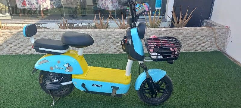 6 months old E-Bike used by Filipino 2