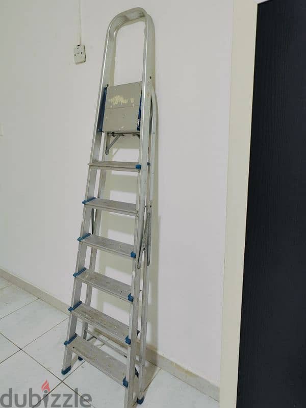 Aluminum Ladder 0