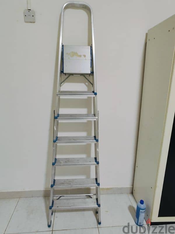 Aluminum Ladder 1