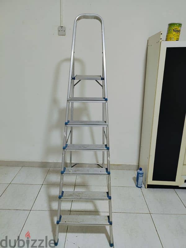 Aluminum Ladder 2