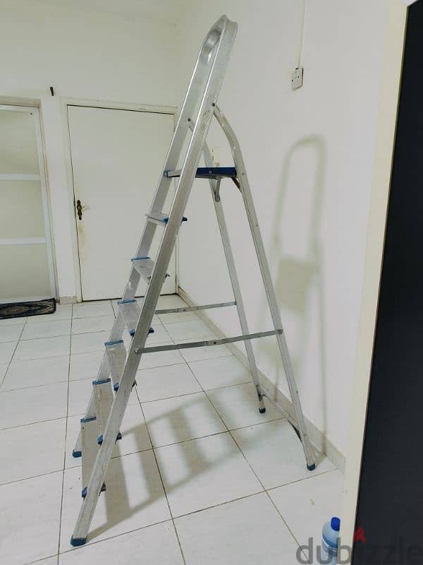 Aluminum Ladder 3