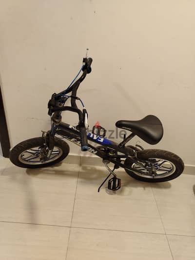 Bicycle for kids (Big & Small)