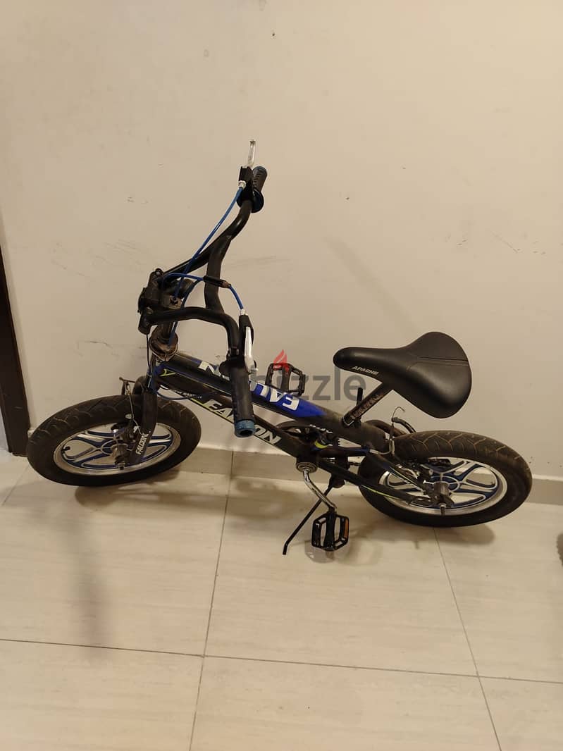 Bicycle for kids (Big & Small) 0