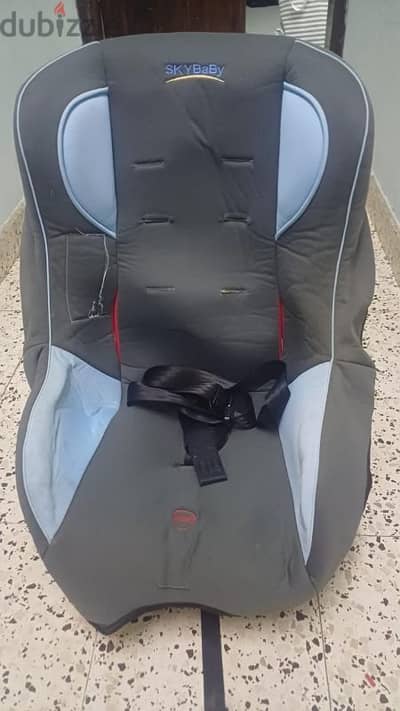 SkyBaby Car Seat