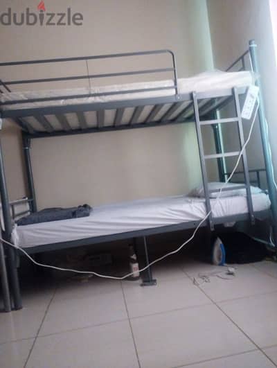 bed space in dormitory available