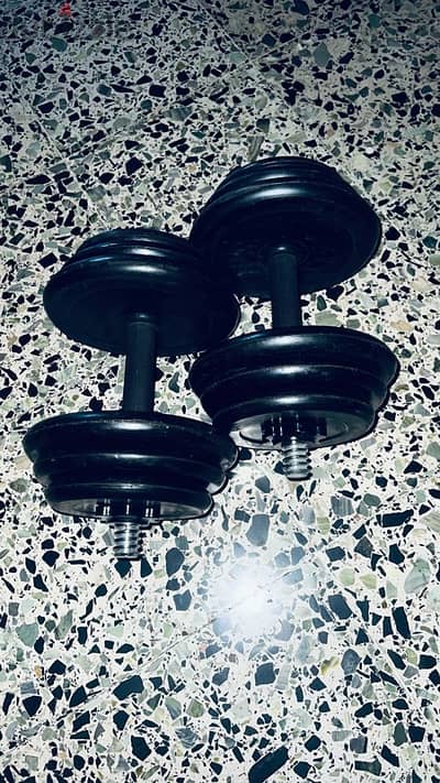 dumbbells 15kg