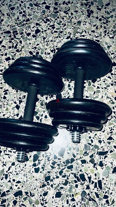 dumbbells 15kg 1