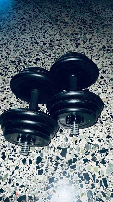 dumbbells 15kg 2