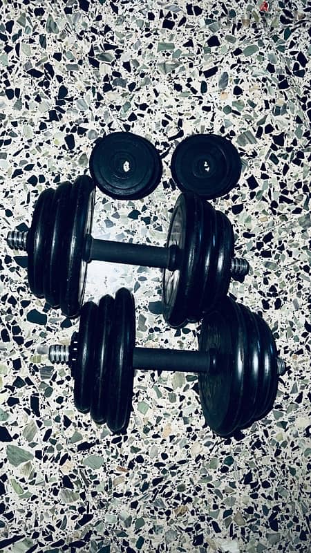 dumbbells 15kg 4