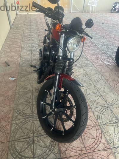 Harley Davidson 883XL (2020)