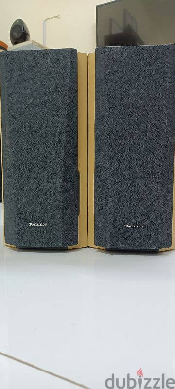 Technics Bi-Wire SB-HD510 Speakers 1