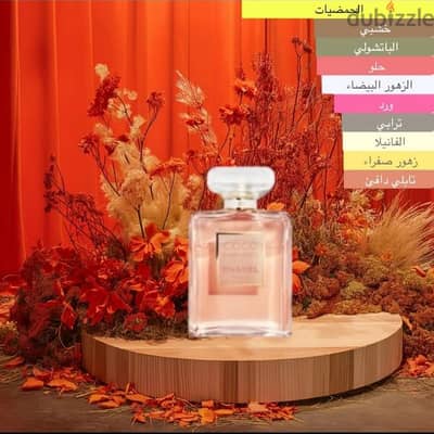 nice perfumes fragrance